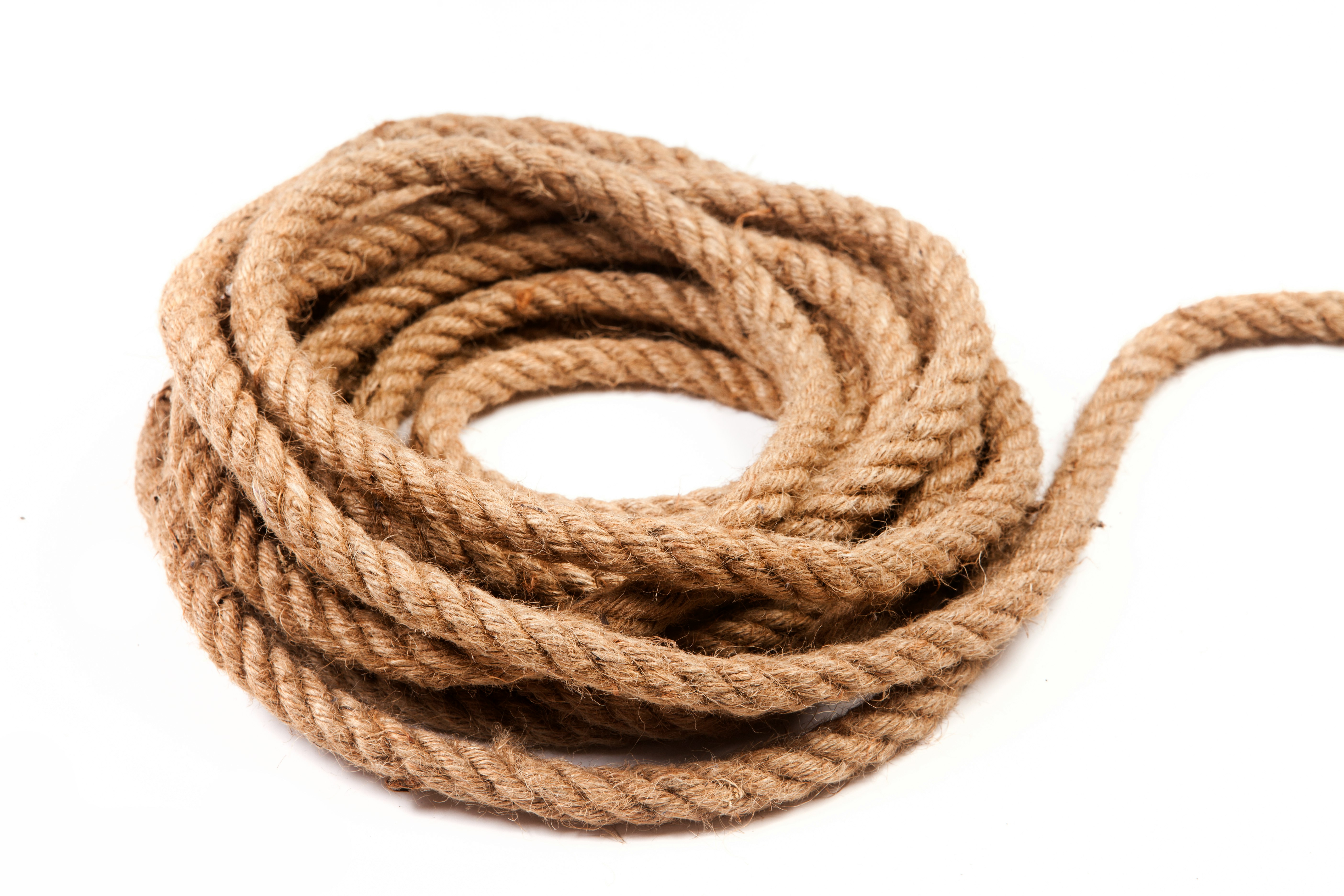 brown rope on white background